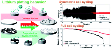 Graphical abstract: A scalable, ecofriendly, and cost-effective lithium metal protection layer from a Post-it note
