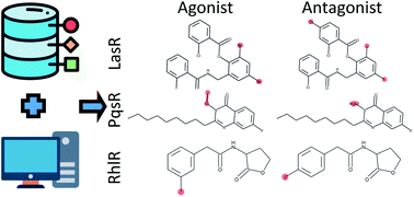 Graphical abstract: Cheminformatics analysis of molecular datasets of transcription factors associated with quorum sensing in Pseudomonas aeruginosa