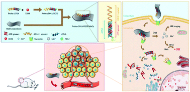 Graphical abstract: DNA aptamer-based dual-responsive nanoplatform for targeted MRI and combination therapy for cancer