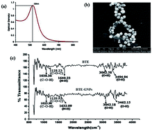 Graphical abstract: Green-synthesized gold nanoparticles from black tea extract enhance the chemosensitivity of doxorubicin in HCT116 cells via a ROS-dependent pathway