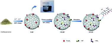 Graphical abstract: Preparation of N,S-codoped magnetic bagasse biochar and adsorption characteristics for tetracycline