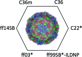 Graphical abstract: Evaluation of all-atom force fields in viral capsid simulations and properties