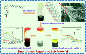 Graphical abstract: Hybrid hydrogels derived from renewable resources as a smart stimuli responsive soft material for drug delivery applications