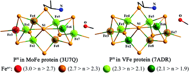 Graphical abstract: Statistical analysis of PN clusters in Mo/VFe protein crystals using a bond valence method toward their electronic structures