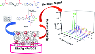 Graphical abstract: Electrochemical detection of mercuric(ii) ions in aqueous media using glassy carbon electrode modified with synthesized tribenzamides and silver nanoparticles