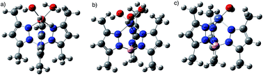 Graphical abstract: Electrocatalytic hydrogen generation using tripod containing pyrazolylborate-based copper(ii), nickel(ii), and iron(iii) complexes loaded on a glassy carbon electrode