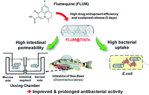 Graphical abstract: Flumequine-loaded titanate nanotubes as antibacterial agents for aquaculture farms