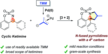 Graphical abstract: Pd-catalyzed [3 + 2] cycloaddition of cyclic ketimines and trimethylenemethanes toward N-fused pyrrolidines bearing a quaternary carbon