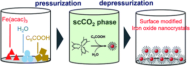 Graphical abstract: Synthesis of surface-modified iron oxide nanocrystals using supercritical carbon dioxide as the reaction field