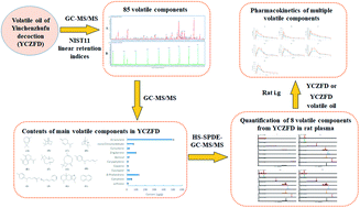 Graphical abstract: Volatile components in Yinchenzhufu decoction and their pharmacokinetics after oral administration in rats