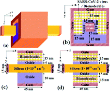 Graphical abstract: Gate-all-around junctionless FET based label-free dielectric/charge modulation detection of SARS-CoV-2 virus