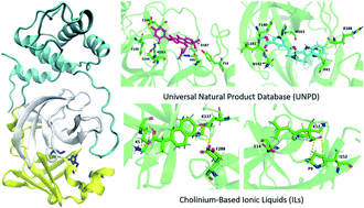 Graphical abstract: Antiviral activities of natural compounds and ionic liquids to inhibit the Mpro of SARS-CoV-2: a computational approach