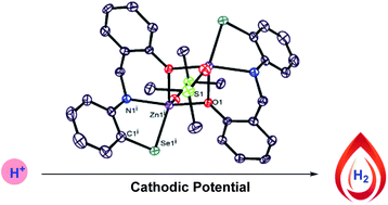 Graphical abstract: Proton reduction by a bimetallic zinc selenolate electrocatalyst