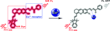 Graphical abstract: A salicylaldehyde benzoyl hydrazone based near-infrared probe for copper(ii) and its bioimaging applications