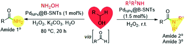 Graphical abstract: Single-pot tandem oxidative/C–H modification amidation process using ultrasmall PdNP-encapsulated porous organosilica nanotubes
