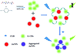 Graphical abstract: Fluorescent sensing platform based on green luminescence carbon dots and AuNPs for clenbuterol detection in pork liver