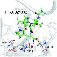 Graphical abstract: Insights into the binding and covalent inhibition mechanism of PF-07321332 to SARS-CoV-2 Mpro