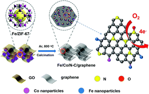 Graphical abstract: Fe/Co/N–C/graphene derived from Fe/ZIF-67/graphene oxide three dimensional frameworks as a remarkably efficient and stable catalyst for the oxygen reduction reaction