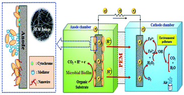 Graphical abstract: A review on bio-electro-Fenton systems as environmentally friendly methods for degradation of environmental organic pollutants in wastewater