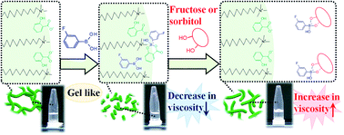 Graphical abstract: Diol responsive viscosity increase in a cetyltrimethylammonium bromide/sodium salicylate/3-fluorophenylboronic acid micelle system