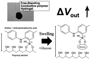 Graphical abstract: Free-standing conductive hydrogel electrode for potentiometric glucose sensing
