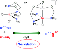 Graphical abstract: Four- and five-coordinate nickel(ii) complexes bearing new diphosphine–phosphonite and triphosphine–phosphite ligands: catalysts for N-alkylation of amines