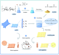 Graphical abstract: Crosslinking of dialdehyde heparin: a new strategy for improving the anticoagulant properties of porcine acellular dermal matrix