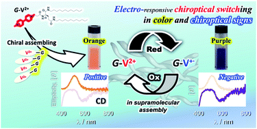 Graphical abstract: Chemical redox-induced chiroptical switching of supramolecular assemblies of viologens