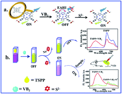 Graphical abstract: An innovative study on the “on–off–on” detection of sulfur ions based on a TSPP–riboflavin fluorescent probe