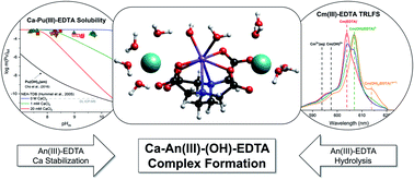 Graphical abstract: Pu(iii) and Cm(iii) in the presence of EDTA: aqueous speciation, redox behavior, and the impact of Ca(ii)