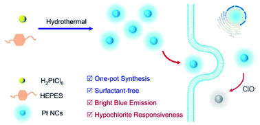 Graphical abstract: Surfactant-free synthesis of fluorescent platinum nanoclusters using HEPES buffer for hypochlorous acid sensing and imaging