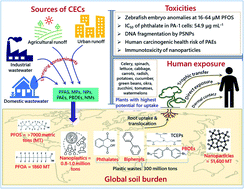 Graphical abstract: Major contaminants of emerging concern in soils: a perspective on potential health risks