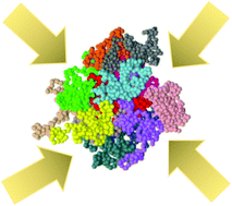 Graphical abstract: A method to estimate the size of single-chain nanoparticles under severe crowding conditions