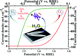 Graphical abstract: Genomic DNA-mediated formation of a porous Cu2(OH)PO4/Co3(PO4)2·8H2O rolling pin shape bifunctional electrocatalyst for water splitting reactions