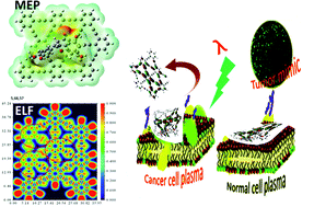 Graphical abstract: Controlled supramolecular interaction to enhance the bioavailability of hesperetin to targeted cancer cells through graphyne: a comprehensive in silico study