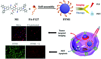 Graphical abstract: Folic acid functionalized aggregation-induced emission nanoparticles for tumor cell targeted imaging and photodynamic therapy