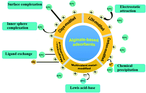 Graphical abstract: Recent developments in alginate-based adsorbents for removing phosphate ions from wastewater: a review