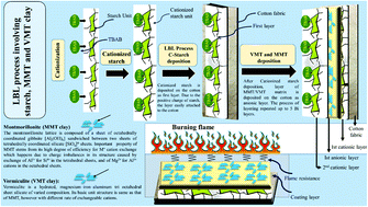 Graphical abstract: Macro and micro thermal investigation of nanoarchitectonics-based coatings on cotton fabric using new quaternized starch