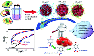 Graphical abstract: Bio-AgNPs-based electrochemical nanosensors for the sensitive determination of 4-nitrophenol in tomato samples: the roles of natural plant extracts in physicochemical parameters and sensing performance