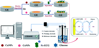 Graphical abstract: Enzyme-free glucose sensors with efficient synergistic electro-catalysis based on a ferrocene derivative and two metal nanoparticles