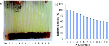 Graphical abstract: Effective utilization of magnetic nano-coupled cloned β-xylanase in saccharification process