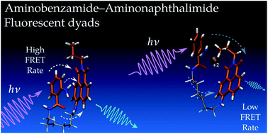 Graphical abstract: Experimental and theoretical study of novel aminobenzamide–aminonaphthalimide fluorescent dyads with a FRET mechanism