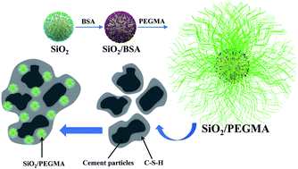 Graphical abstract: Effect of core–shell nanocomposites on the mechanical properties and rheological behaviors of cement pastes