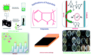 Graphical abstract: Recent trends and advances in polyindole-based nanocomposites as potential antimicrobial agents: a mini review