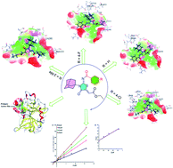 Graphical abstract: Novel adamantyl clubbed iminothiazolidinones as promising elastase inhibitors: design, synthesis, molecular docking, ADMET and DFT studies