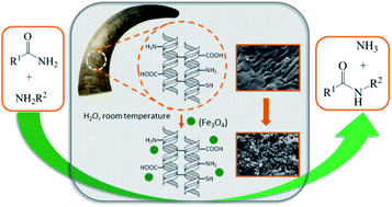 Graphical abstract: Innovative application of magnetically modified bovine horn as a natural keratin resource in the role of value-added organocatalyst