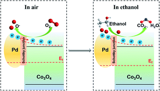 Graphical abstract: Highly sensitive and fast-response ethanol sensing of porous Co3O4 hollow polyhedra via palladium reined spillover effect