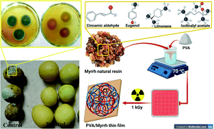 Graphical abstract: Gamma radiation crosslinking of PVA/myrrh resin thin film for improving the post-harvest time of lemon fruits