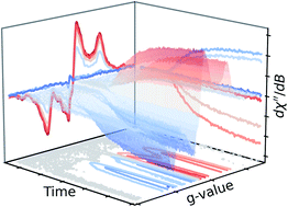 Graphical abstract: In situ EPR and Raman spectroscopy in the curing of bis-methacrylate–styrene resins