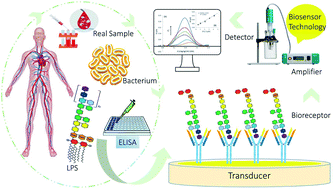 Graphical abstract: Environmental protection based on the nanobiosensing of bacterial lipopolysaccharides (LPSs): material and method overview